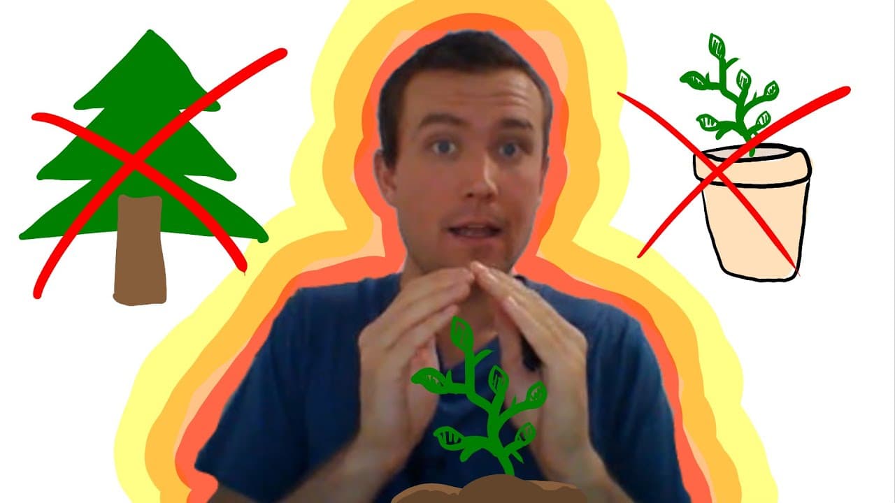 Pots and plants - Complete Beginner #65 - English Comprehensible Input