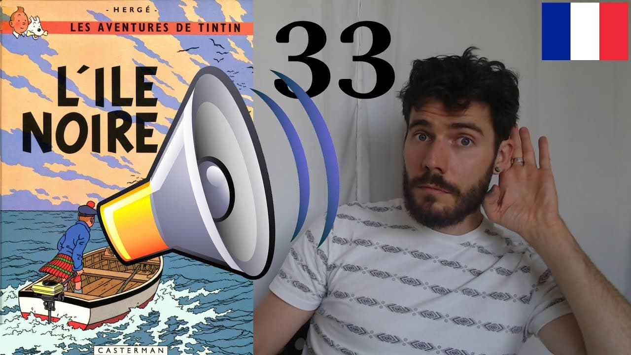 Learn French with TINTIN #33