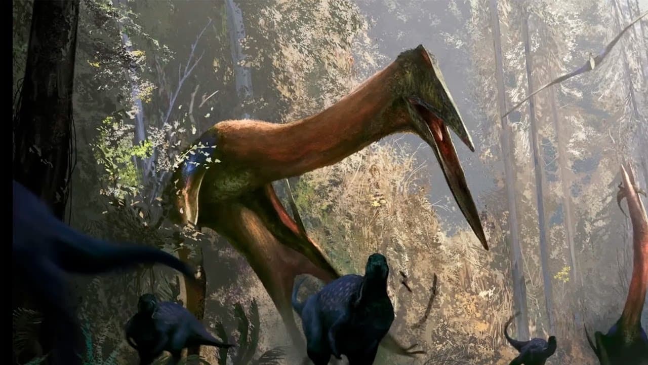 El Animal Más Grande Que Ha Volado No Fue El Quetzalcoatlus