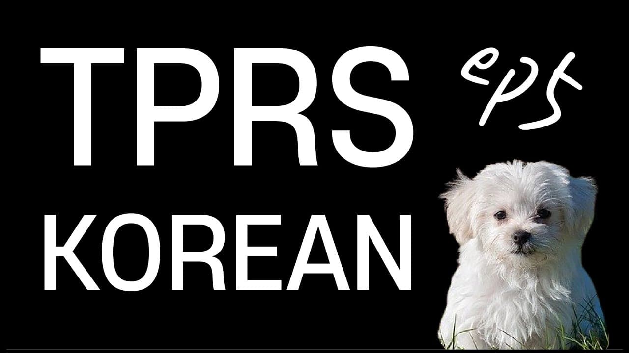 TPRS Korean for beginners ep5