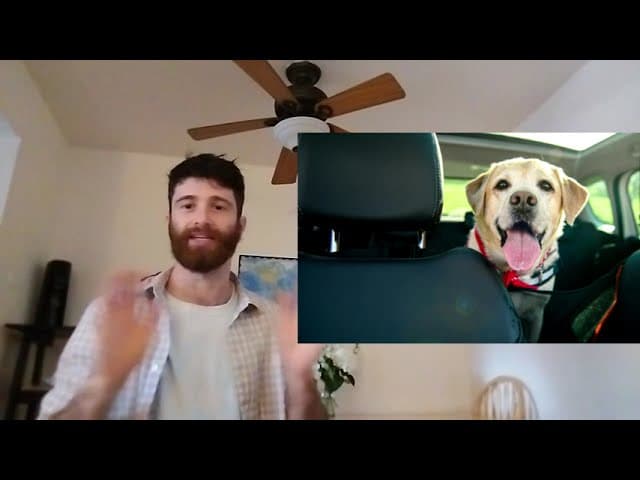 A2 English #21- A story about my dog! (Comprehensible Input)