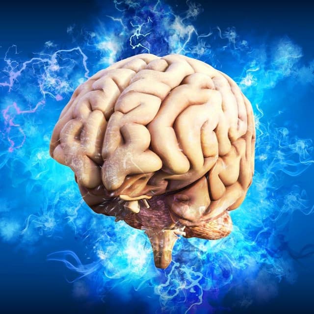 008 - How physical exercise improves the performance of your brain