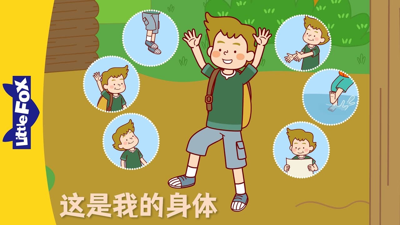 [4K] 这是我的身体 (This Is My Body) Single Story | Basic Concepts | Animation for Kids | LittleFox Chinese