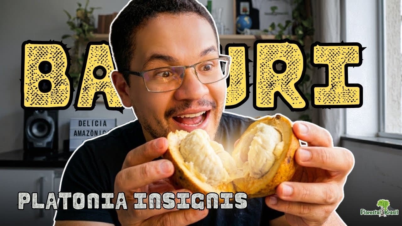 BACURI - Você ainda NÃO conhece essa fruta!? #bacuri 