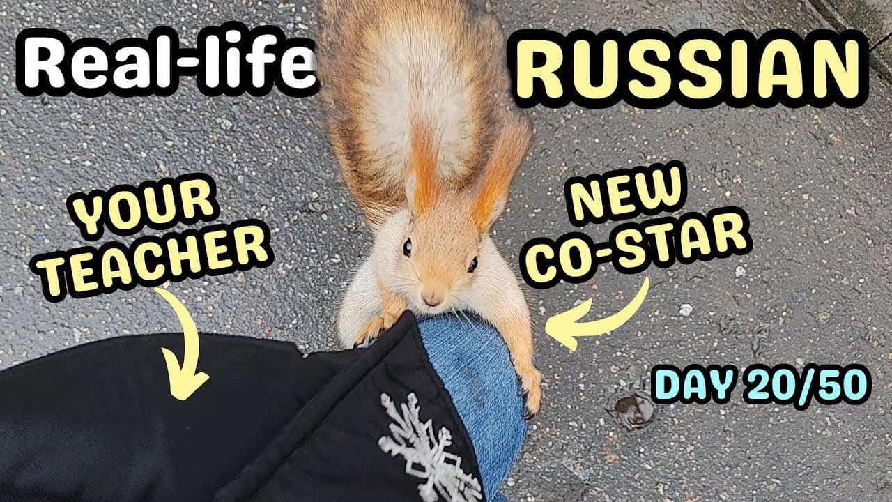 Learn Russian with Squirrels! 🐿️ | Slow Russian Vlog in Moscow's Gorky Park (A1-A2+) |Day 20/50