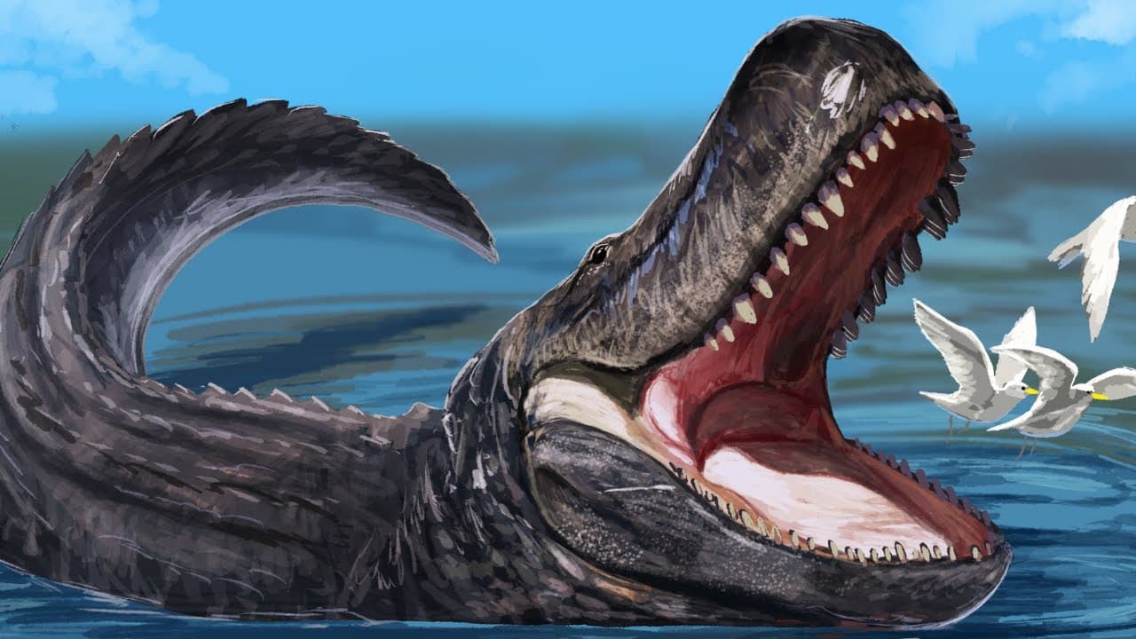 Cuando el Amazonas era un mega lago