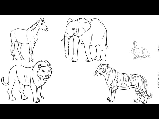 Animal - Comprehensible Input Korean